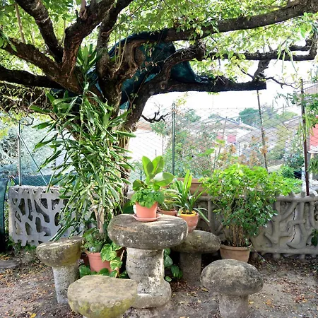 Relax House Marche Lägenhet *